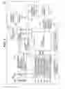 Fig. 03 - Image pickup apparatus capable of changing drive mode and image signal control method