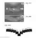 Fig. 32 - Electronic device and driving method thereof