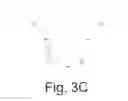 Fig. 04 - IMAGE FOCUSING