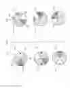 Fig. 05 - Projector in illumination optical system including phosphor wheel driver