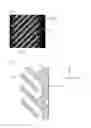 Fig. 09 - LIQUID CRYSTAL DISPLAY PANEL, LIQUID CRYSTAL DISPLAY APPARATUS, AND THIN FILM TRANSISTOR ARRAY SUBSTRATE