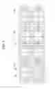 Fig. 09 - Liquid crystal display device