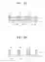 Fig. 07 - Display device and method of manufacturing the same