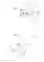 Fig. 07 - Device and method for measuring objective ocular refraction and at least one geometric-morphological parameter of an individual