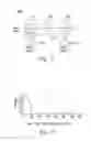 Fig. 04 - LASER ENERGY OUTPUT CONTROL APPARATUS AND METHOD THEREOF