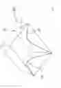 Fig. 07 - Photographic lighting device