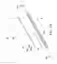 Fig. 04 - Lamp tube
