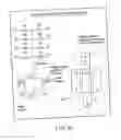 Fig. 25 - Memory device and method of controlling memory device