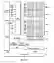 Fig. 01 - Semiconductor device and program fail cells