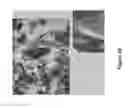 Fig. 35 - Mechanical system that fluidizes, mixes, coats, dries, combines, chemically reacts, and segregates materials
