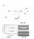 Fig. 03 - Interlayer for device including NFT and cladding layers