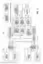 Fig. 02 - BASE STATION APPARATUS, WIRELESS COMMUNICATION METHOD AND CENTRAL CONTROL SERVER
