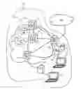 Fig. 01 - Network element and a controller for managing the network element