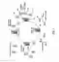 Fig. 02 - METROPOLITAN WIDE AREA NETWORK