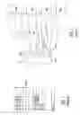 Fig. 04 - METROPOLITAN WIDE AREA NETWORK