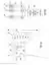 Fig. 06 - METROPOLITAN WIDE AREA NETWORK