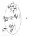 Fig. 07 - Almost blank subframe allocation in heterogeneous network