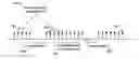 Fig. 01 - Sounding signal in a multicarrier wireless device