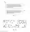 Fig. 11 - Scrambling code resolution