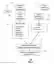 Fig. 08 - Client-side scheduling for media transmissions according to client device states