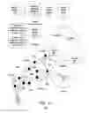 Fig. 04 - Optimized content routing distribution using proximity based on predictive client flow trajectories
