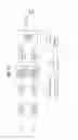 Fig. 35 - Apparatus for transmitting broadcast signals, apparatus for receiving broadcast signals, method for transmitting broadcast signals and method for receiving broadcast signals