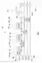 Fig. 06 - Uplink multi-user multiple input multiple output beamforming