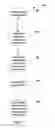 Fig. 08 - Uplink multi-user multiple input multiple output beamforming