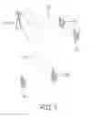 Fig. 02 - Method for communicating in a network