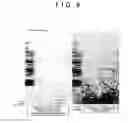 Fig. 10 - X-ray topography apparatus