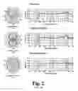 Fig. 03 - RESPONSE-COMPENSATED MICROPHONE