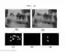 Fig. 09 - Motion detection system and method