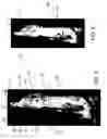 Fig. 04 - METHOD AND APPARATUS FOR THE SEUROP CLASSIFICATION OF THE CONFORMATION OF CARCASSES OF SLAUGHTERED CATTLE