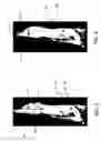 Fig. 05 - METHOD AND APPARATUS FOR THE SEUROP CLASSIFICATION OF THE CONFORMATION OF CARCASSES OF SLAUGHTERED CATTLE