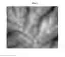 Fig. 04 - Method of generating implicit terrain data by performing lossless compression and lossy compression and electronic apparatus for performing the method