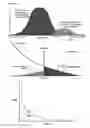Fig. 02 - Biometric identification and verification