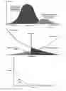 Fig. 11 - Biometric identification and verification