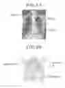 Fig. 08 - Medical information processing apparatus