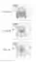 Fig. 09 - Medical information processing apparatus
