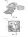 Fig. 02 - Method and system for quantitative evaluation of image segmentation