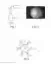Fig. 02 - Optical method for inspecting transparent or translucent containers bearing visual