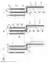 Fig. 12 - PATTERN EVALUATION DEVICE AND PATTERN EVALUATION METHOD