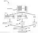 Fig. 01 - Distributed similarity learning for high-dimensional image features