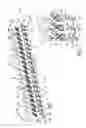 Fig. 02 - Cage blank for freewheel with rolling elements, freewheel cage formed from such a blank, freewheel comprising such a cage, and method of mounting such a freewheel