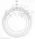 Fig. 03 - Split cage and roller bearing