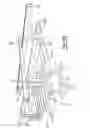 Fig. 13 - Multiple axis work-piece tranfser apparatus