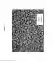 Fig. 04 - MICROSTRUCTURED MATERIAL AND PROCESS FOR ITS MANUFACTURE