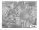 Fig. 01 - BETA-TYPE TITANIUM ALLOY HAVING LOW ELASTIC MODULUS AND HIGH STRENGTH