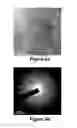 Fig. 07 - FLUID CAPTURE OF NANOPARTICLES