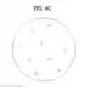 Fig. 09 - SINGLE CRYSTAL SILICON INGOT AND WAFER, AND APPARATUS AND METHOD FOR GROWING SAID INGOT